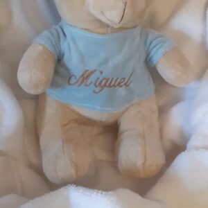 OSO PELUCHE CON CAMISA PERSONALIZADA